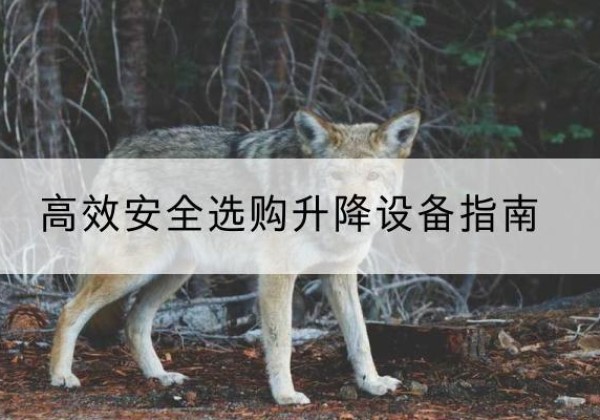 靖远升降货梯厂家推荐-*安全选购升降设备指南