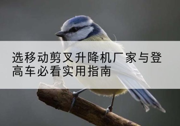 靖远电动升降机厂家-选移动剪叉升降机厂家与登高车必看实用指南