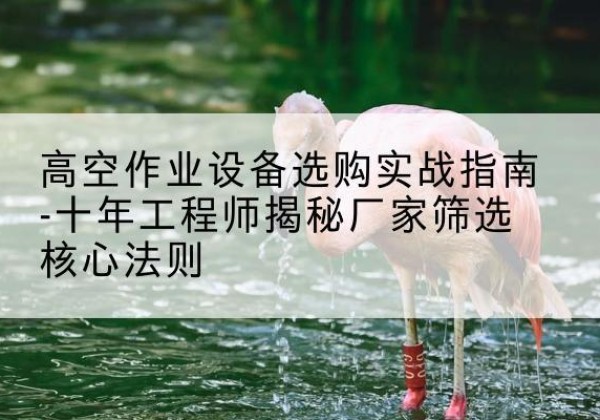靖远剪叉式升降机厂家-高空作业设备选购实战指南-十年工程师揭秘厂家筛选核心法则